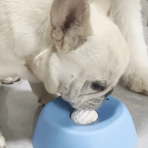 BALMERY™ Slow Feeder Dog Bowl