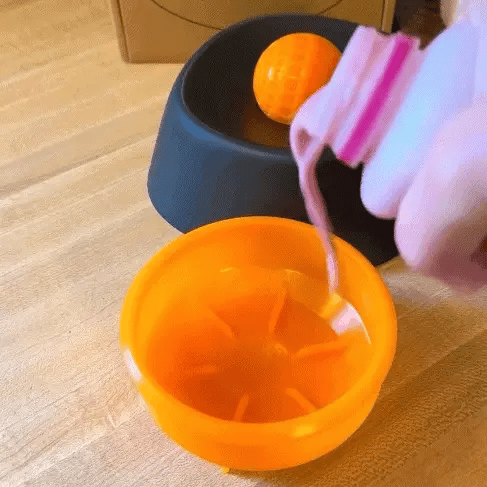 BALMERY™ Slow Feeder Dog Bowl